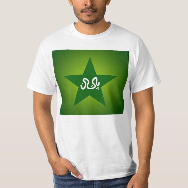 Pakistan Cricket logo T-shirt (Front)