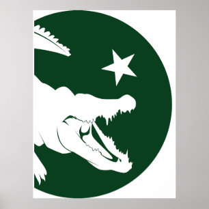 Pakistan Crocodile Pakistani National Animal Flag Poster