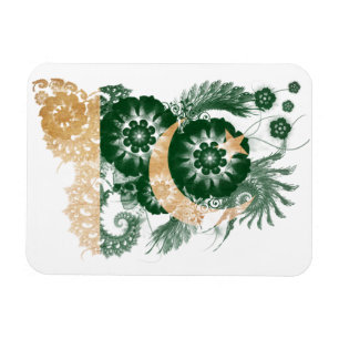 Pakistan Flag Magnet