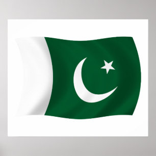 Pakistan Flag Poster Print