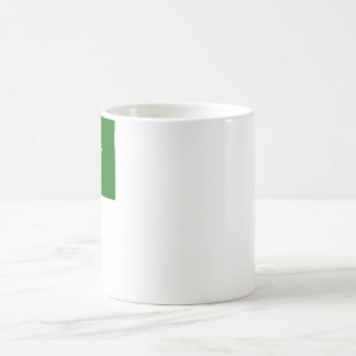 Pakistan Flag with Name in Urdu Coffee Mug