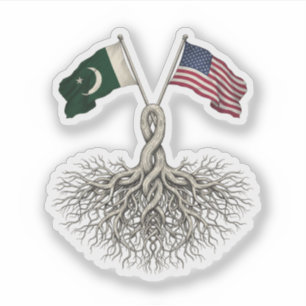 Pakistani-American