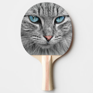 Pala De Ping Pong Gato Gray Blue Eyes Paddle