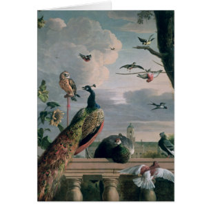 Palace of Amsterdam with Exotic Birds