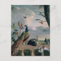 Palace of Amsterdam with Exotic Birds