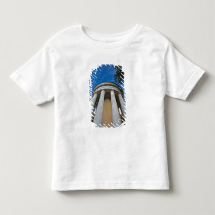 Palace of Czar Paul I, Temple of Friendship Toddler T-Shirt