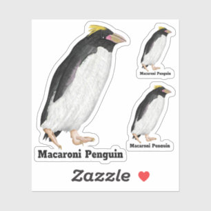 Palaeeudyptes Extinct Penguin