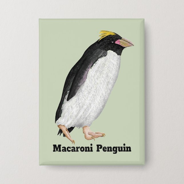Palaeeudyptes Extinct Penguin (Front)