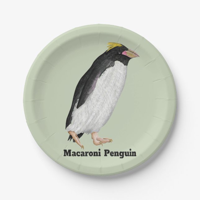 Palaeeudyptes Extinct Penguin Paper Plate (Front)