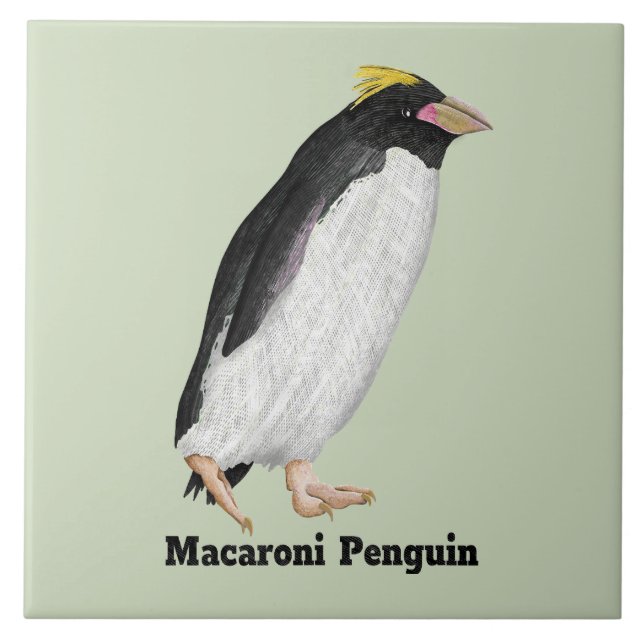 Palaeeudyptes Extinct Penguin Tile (Front)