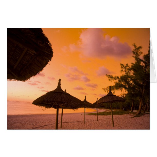 Palapa style beach huts at sunrise, Belle Mare 2 (Front Horizontal)