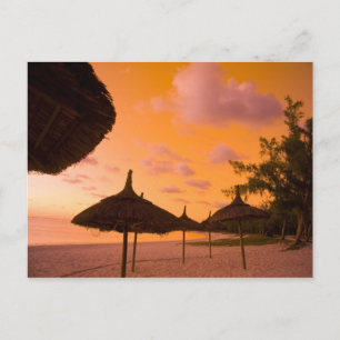 Palapa style beach huts at sunrise, Belle Mare 2 Postcard