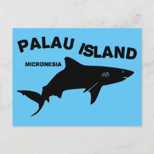 Palau Island Scuba Diving With Sharks Postcard
