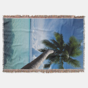 Palau, Micronesia, Palm tree at Palau Lagoon Throw Blanket