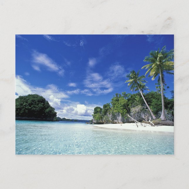Palau, Rock Islands, Honeymoon Island, World Postcard (Front)