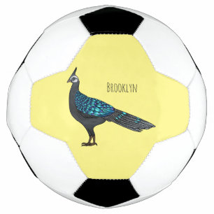Palawan peacock pheasant bird cartoon illustration football