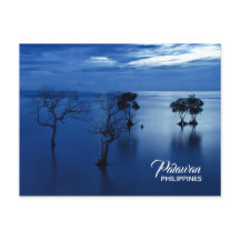 Palawan Philippines Postcard