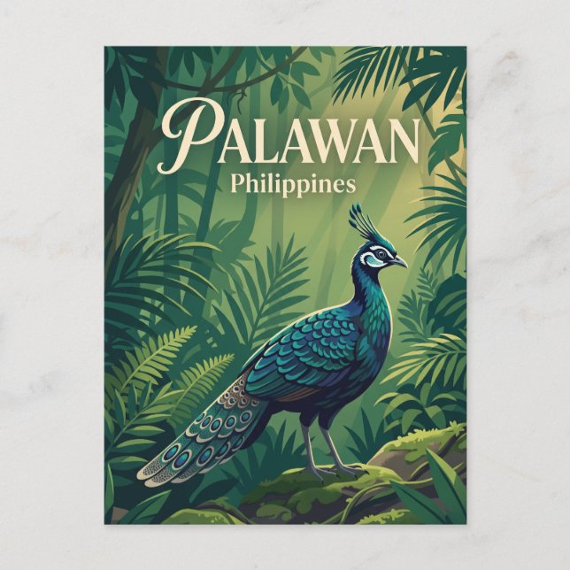 Palawan Philippines Postcard (Front)