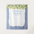 Pale Blue Lemons Boy Baby Shower Photo Dropcloth