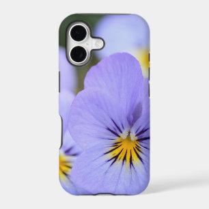 Pale Blue Pansies