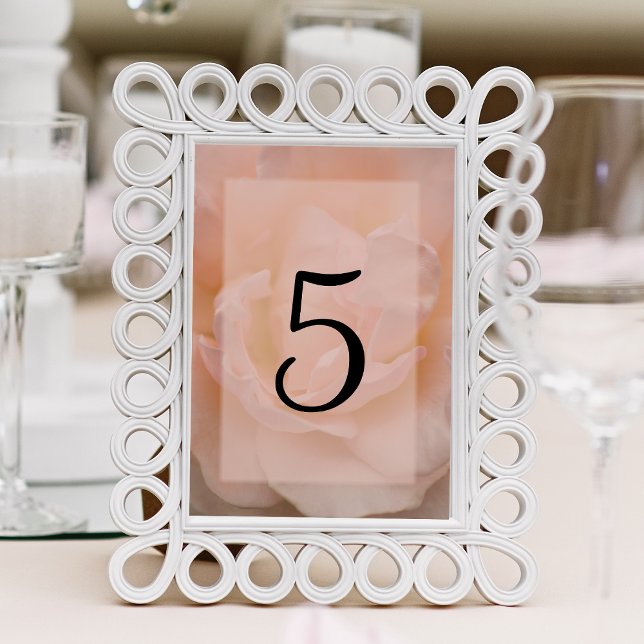 Pale Blush Pink Rose Floral Table Numbers (Creator Uploaded)