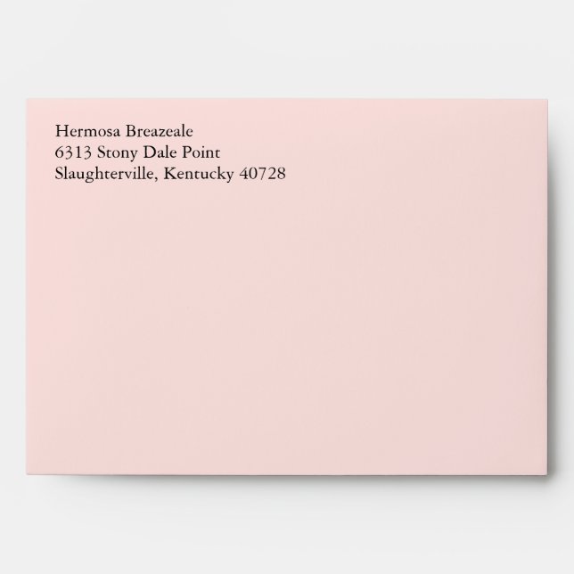Pale Blush Rose Pink 5x7 Return Address Envelopes (Front)