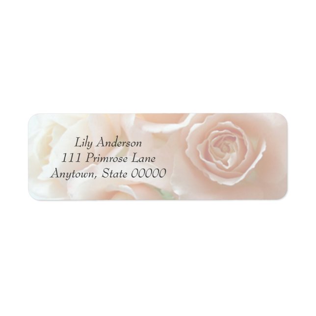 Pale coral roses full frame address label (Front)