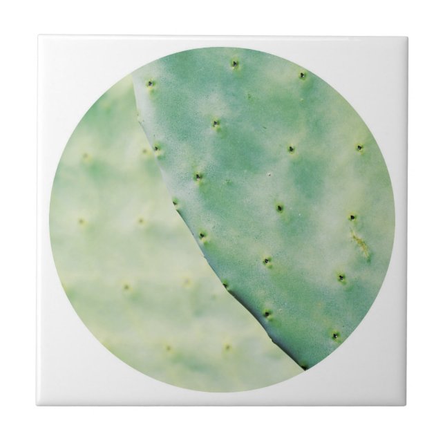 Pale Green Cactus Fig Organic Feel Tile (Front)