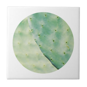 Pale Green Cactus Fig Organic Feel Tile