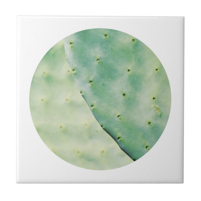 Pale Green Cactus Fig Organic Feel Tile (Front)