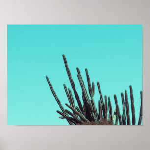 Pale Green Cactus Succulent Plants Minimalism Poster