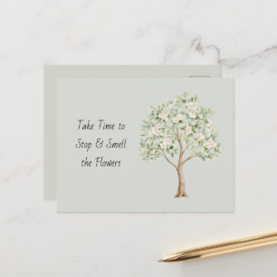 Pale Green Flowering Tree Postcard