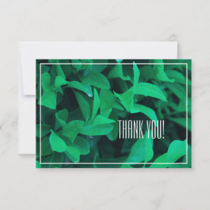 Pale Green Leaf Plant Thank You Flat Card