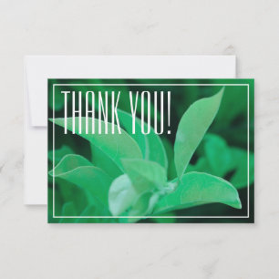 Pale Green Leaf Plant Thank You Flat Card