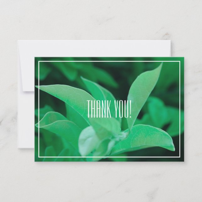 Pale Green Leaf Plant Thank You Flat Card (Front)
