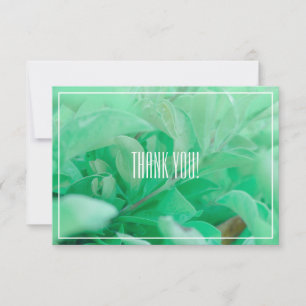 Pale Green Leaf Plant Thank You Flat Card