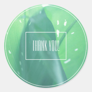 Pale Green Leaf Plant Thank You Sticker