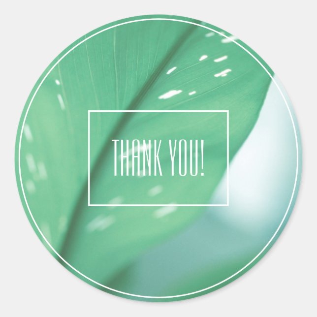 Pale Green Leaf Plant Thank You Sticker (Front)