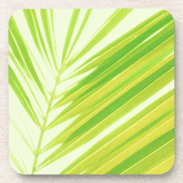 Pale Green Pastel Palm Leaves Coaster (Front)