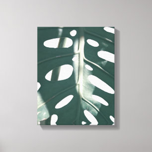 Pale Green Pastel Swiss Cheese Plant Canvas Print