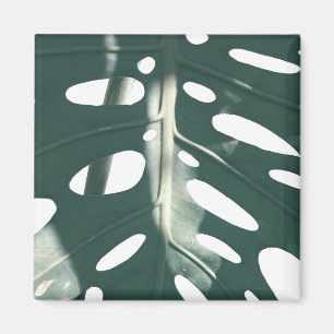 Pale Green Pastel Swiss Cheese Plant Magnet