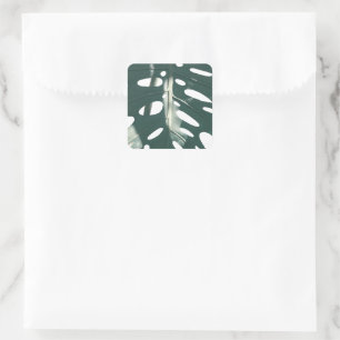 Pale Green Pastel Swiss Cheese Plant Square Sticker