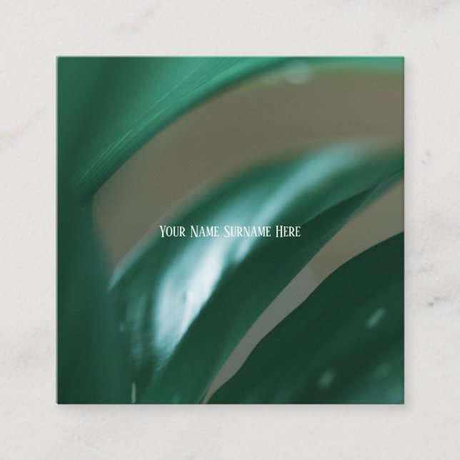 Pale Green Plant Leaves Nature Feel Business Card (Front)