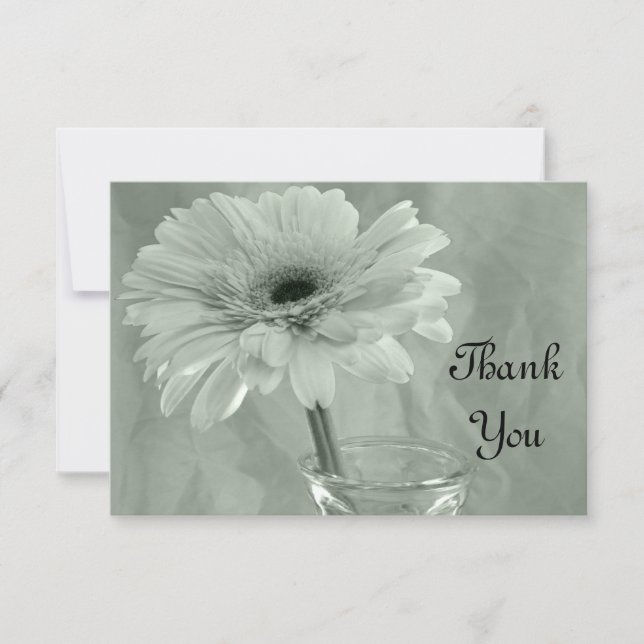 Pale Green Tinted Daisy Thank You Notes - Flat (Front)