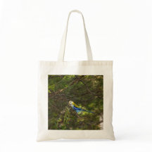 Pale Headed Rosella Tote