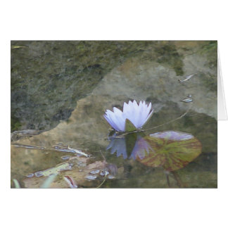 Pale lavenday waterlily card