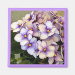 Pale Lavender Violets Magnet