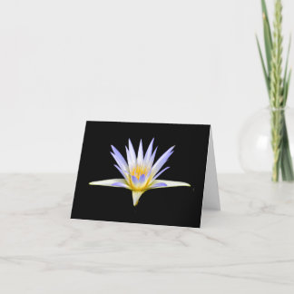 Pale Lavender Water Lily Blank Note Greeting Cards