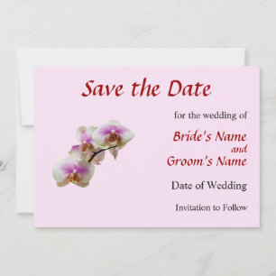 Pale Magenta and White Orchids Save The Date
