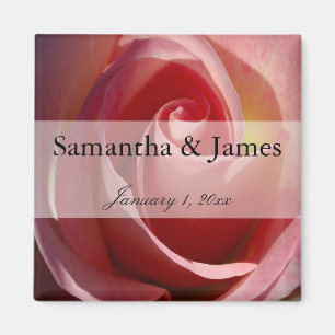 Pale Moon Rose Magnet